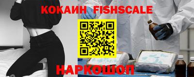 крисы Славгород