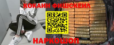 крисы Славгород