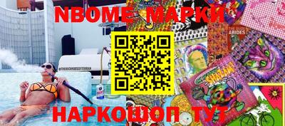 крисы Славгород