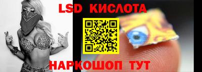 крисы Славгород