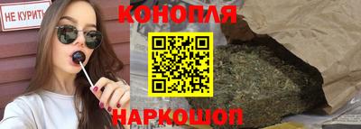 крисы Славгород