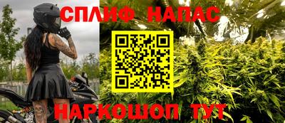 Альфа ПВП Славянск-на-Кубани