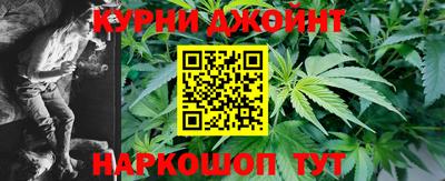 крисы Славгород