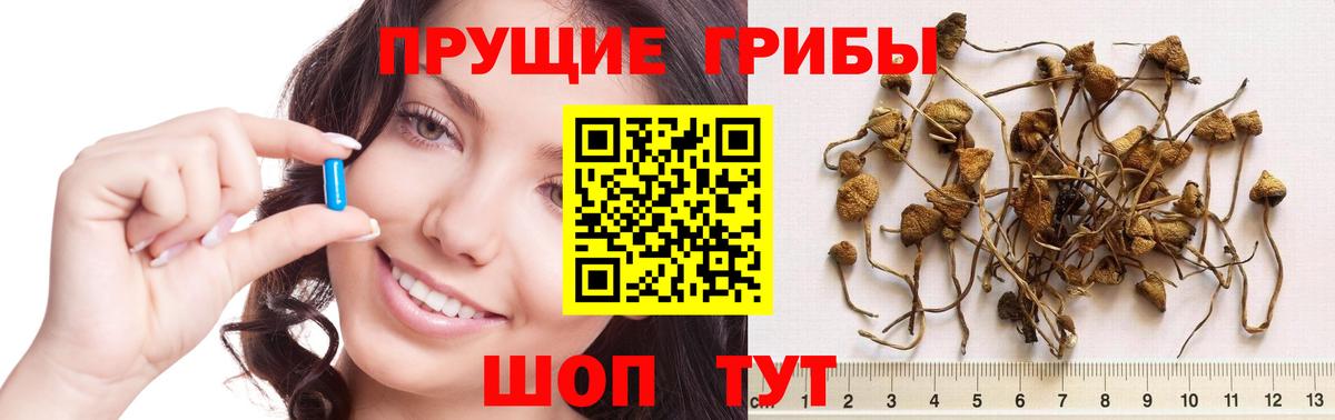 Можайск  Галлюциногенные грибы мицелий  Вход с VPN  Псилоцибиновые грибы прущие грибы 